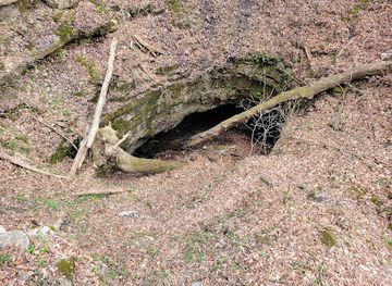 kentucky/mammoth-cave-national-park/bar/dixon-cave