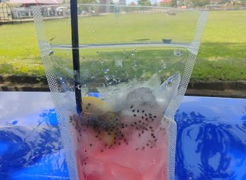 indonesia/south-sumatra/bar/mocktail-bar