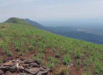 cote-d-ivoire/mount-nimba-strict-nature-reserve/bar/.