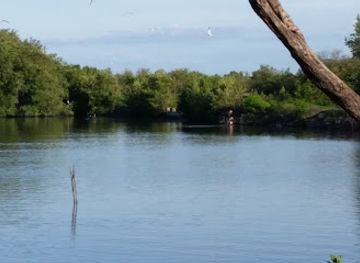 honduras/aguan-valley/bar/hacienda-agua-caliente
