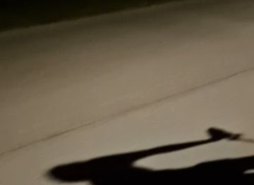 angola/lunda-plateau/bar/red-filip