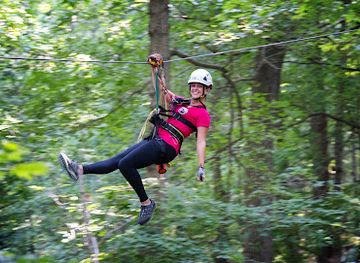 illinois/giant-city-state-park/bar/shawnee-bluffs-canopy-tour