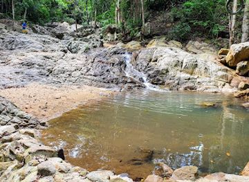 thailand/koh-samui/maenam/bar/tarzan-bar