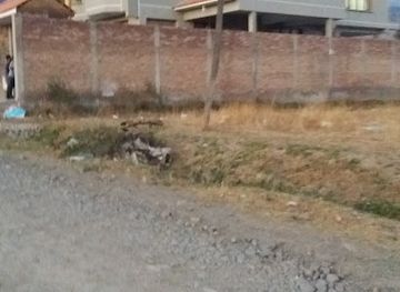 bolivia/cordillera-real/bar/d-8-los-pinos