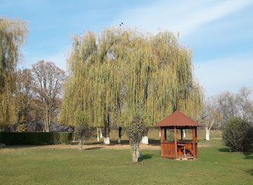 romania/mures/bar/terasa-chio