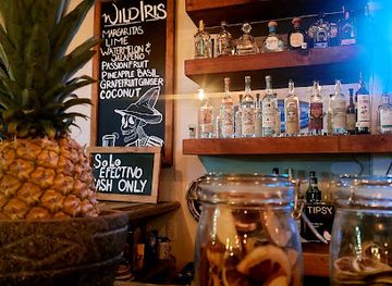 mexico/sayulita/bar/wild-iris-bar