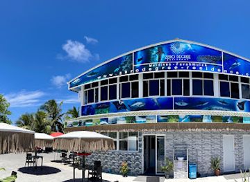maldives/gnaviyani-atoll/bar/oivaali-cafe-fuvahmulah-maldives
