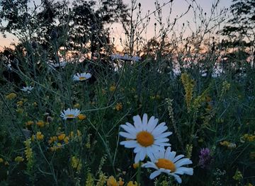 maryland/deep-creek-lake/bar/pumphouse-cafe