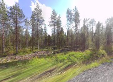 finland/oulanka-national-park/bar/kuusamon-lopotti-ky