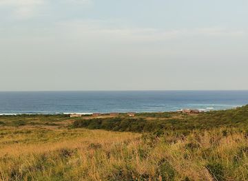 mozambique/banhine-national-park/bar/maputo-special-reserve