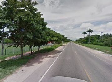 bolivia/amboro-national-park/bar/punto-a