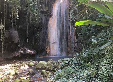 saint-lucia/fond-doux-estate/bar/garden-of-eden