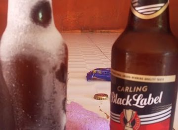 zambia/blue-lagoon-national-park/bar/fresh-bar-and-restaurant