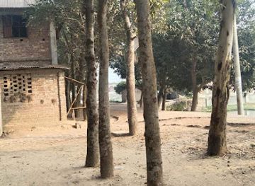 bangladesh/rajshahi-division/bar/bisha-van-stand