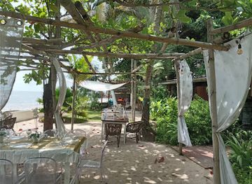 gabon/minkebe-national-park/bar/l-iroko