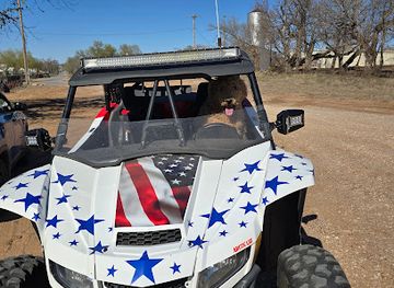 oklahoma/little-sahara-state-park/bar/sand-island