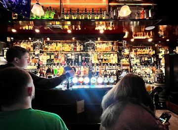 ireland/county-dublin/bar/the-temple-bar-pub