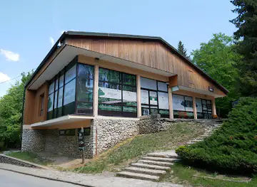 Cafe bar Flora