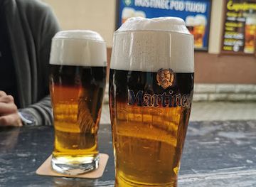 slovakia/mala-fatra-national-park/bar/hostinec-pod-tujou