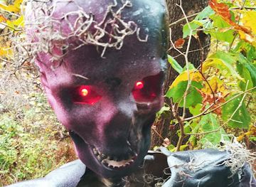 maryland/green-ridge-state-forest/bar/shady-rest-haunt