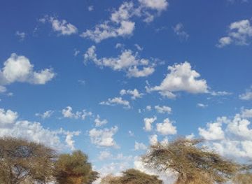 mauritania/chinguetti/bar/