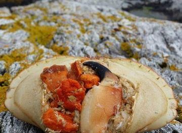 norway/sogn-og-fjordane/bar/faroykavlen-sea-house