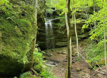 indiana/the-hoosier-national-forest/bar/hemlock-cliffs