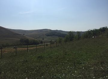 romania/moldavia/bar/magazin-bar-moldavia