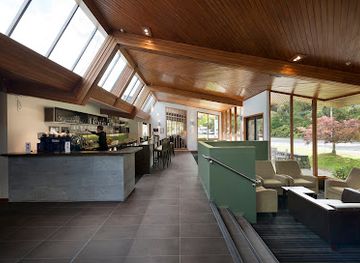 new-zealand/fox-glacier/bar/moa-bar