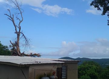 puerto-rico/mona-island/bar/dolores-bar