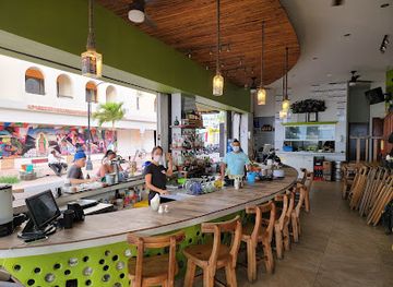 mexico/cozumel/puerto-aventuras/bar/thirsty-cougar