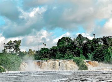 cameroon/lobe-waterfalls/bar/chutes-de-la-lobe