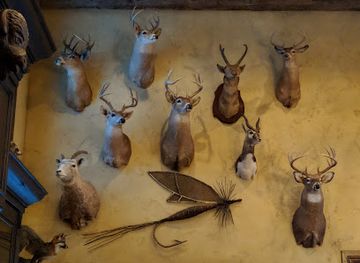 wyoming/wind-river-range/bar/buckoff-saloon