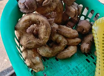 ethiopia/yabelo-wildlife-sanctuary/bar/elsabet-s-place