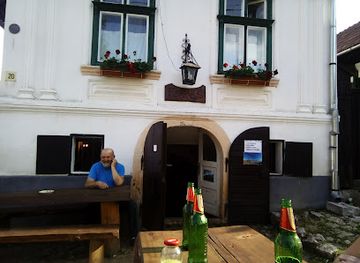 romania/apuseni-mountains/bar/forras-borozo