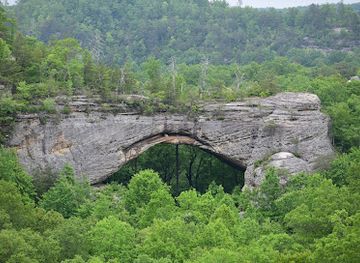 kentucky/daniel-boone-national-forest/bar/natural-arch-scenic-area