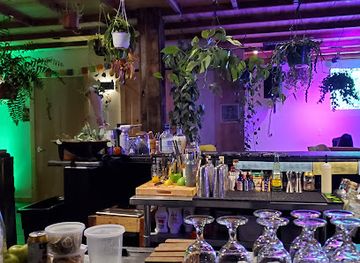 florida/jacksonville/bar/wildcrafters-booze-free-kava-bar