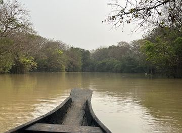 bangladesh/ratargul-swamp-forest/bar/rathargul-swamp-forest