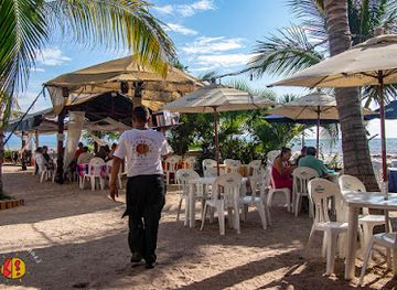 mexico/pacific-coast/bar/el-oasis-del-holi