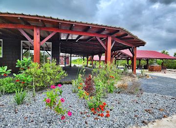 suriname/saramacca-district/bar/nature-s-bubble