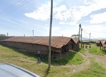 kenya/lake-nakuru-national-park/bar/jt-s-bar