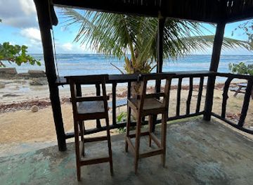 jamaica/john-crow-mountains/bar/wild-ponies