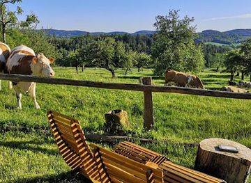 germany/spessart/bar/gasthof-spessartruh-steiger