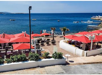 malta/st-paul-s-bay-area/bar/nine-lives-malta