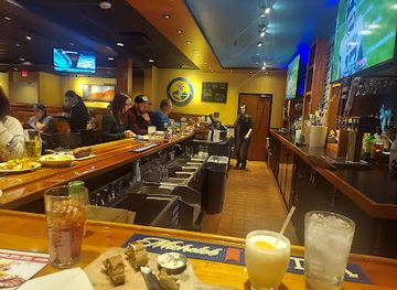 indiana/wabash-valley/bar/outback-steakhouse