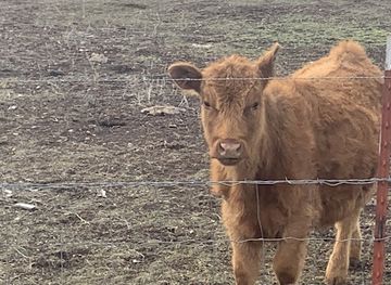 oregon/lake-county/bar/bar-none-feed-farm-supply-llc