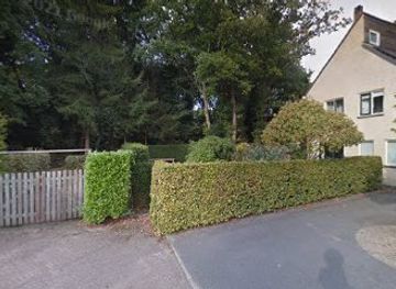 netherlands/sallandse-heuvelrug-national-park/bar/the-lost-oak