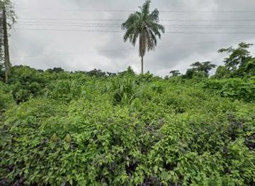 nigeria/erin-ijesha-waterfall/bar/adesco-executive-bar