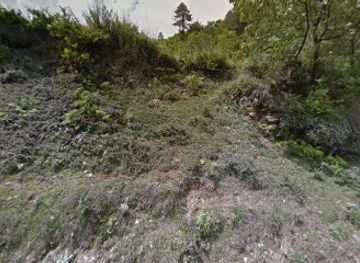 bhutan/phobjikha-valley/bar/ugyen-gaki-restaurant-bar