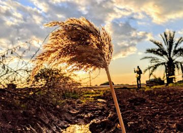 algeria/gourara-region/bar/cafe-niagara-gourara